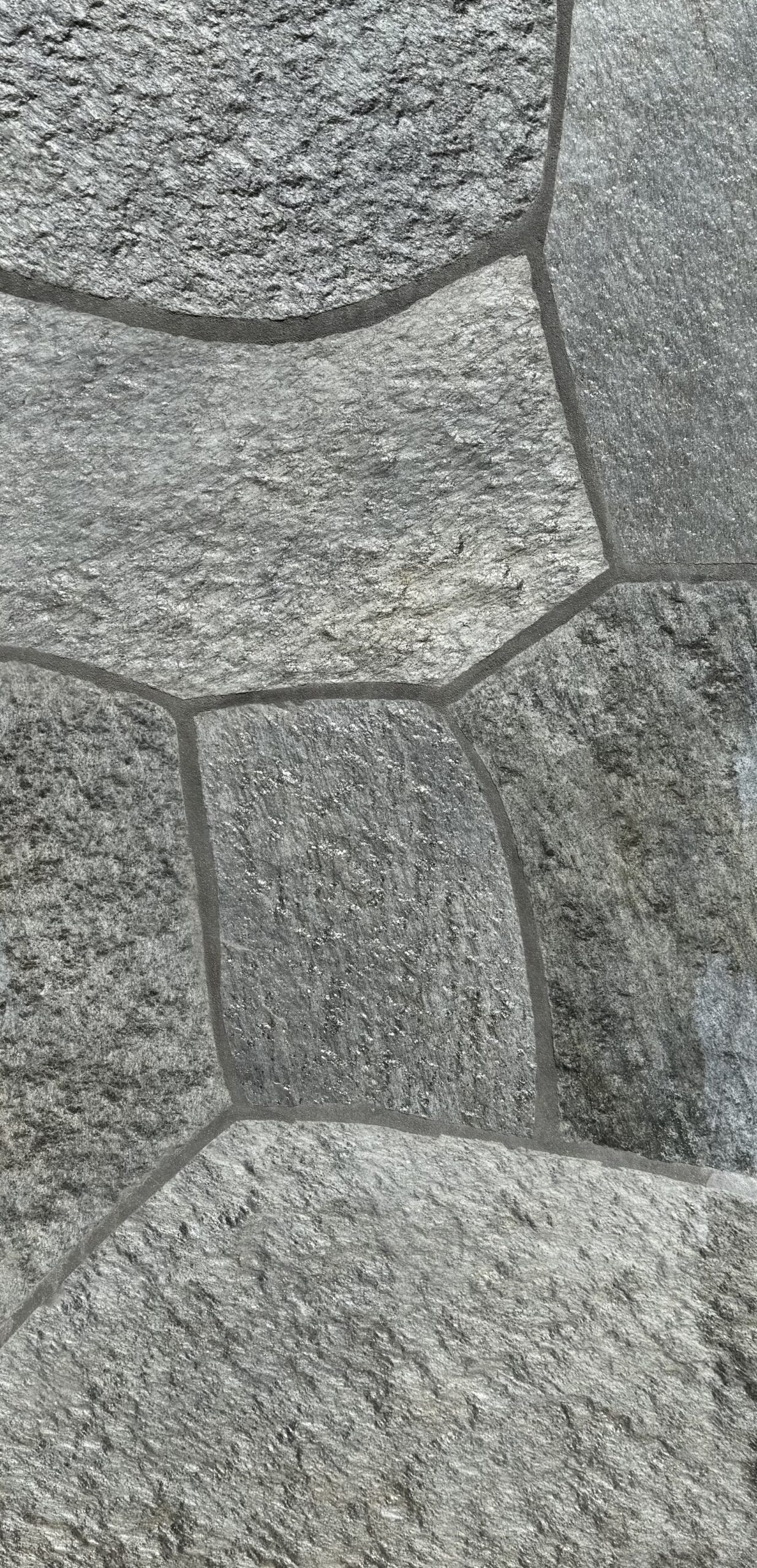 Silver Quartzite Flagstone