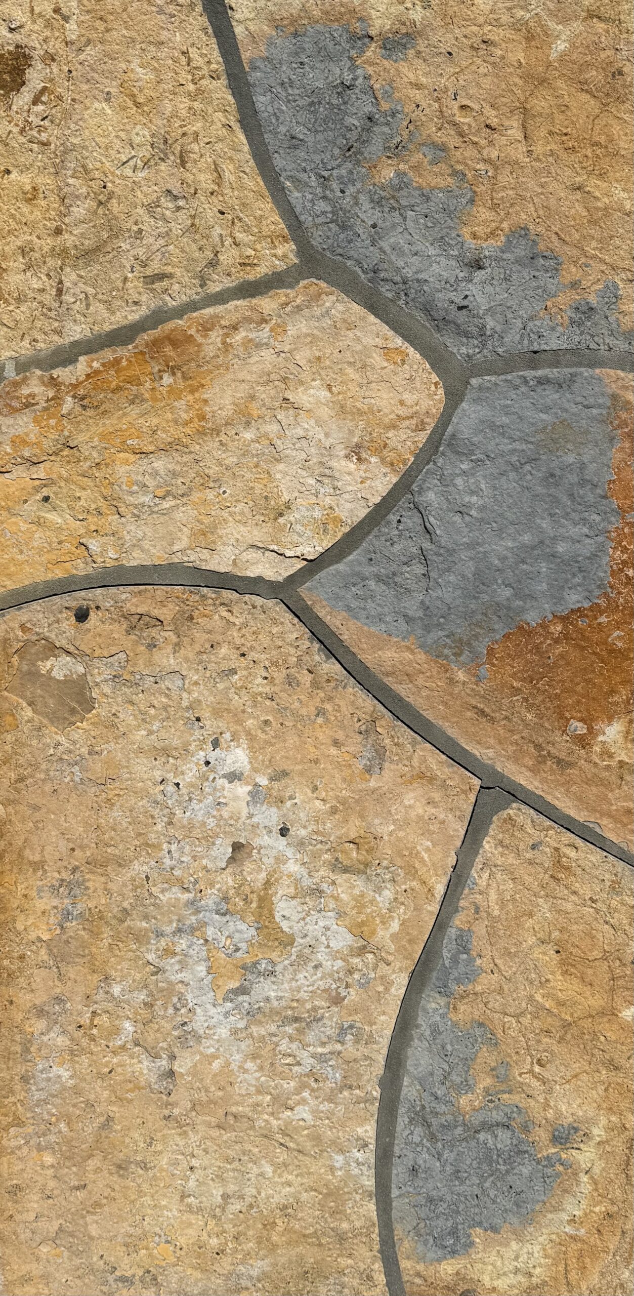 Sonoran Brown Flagstone